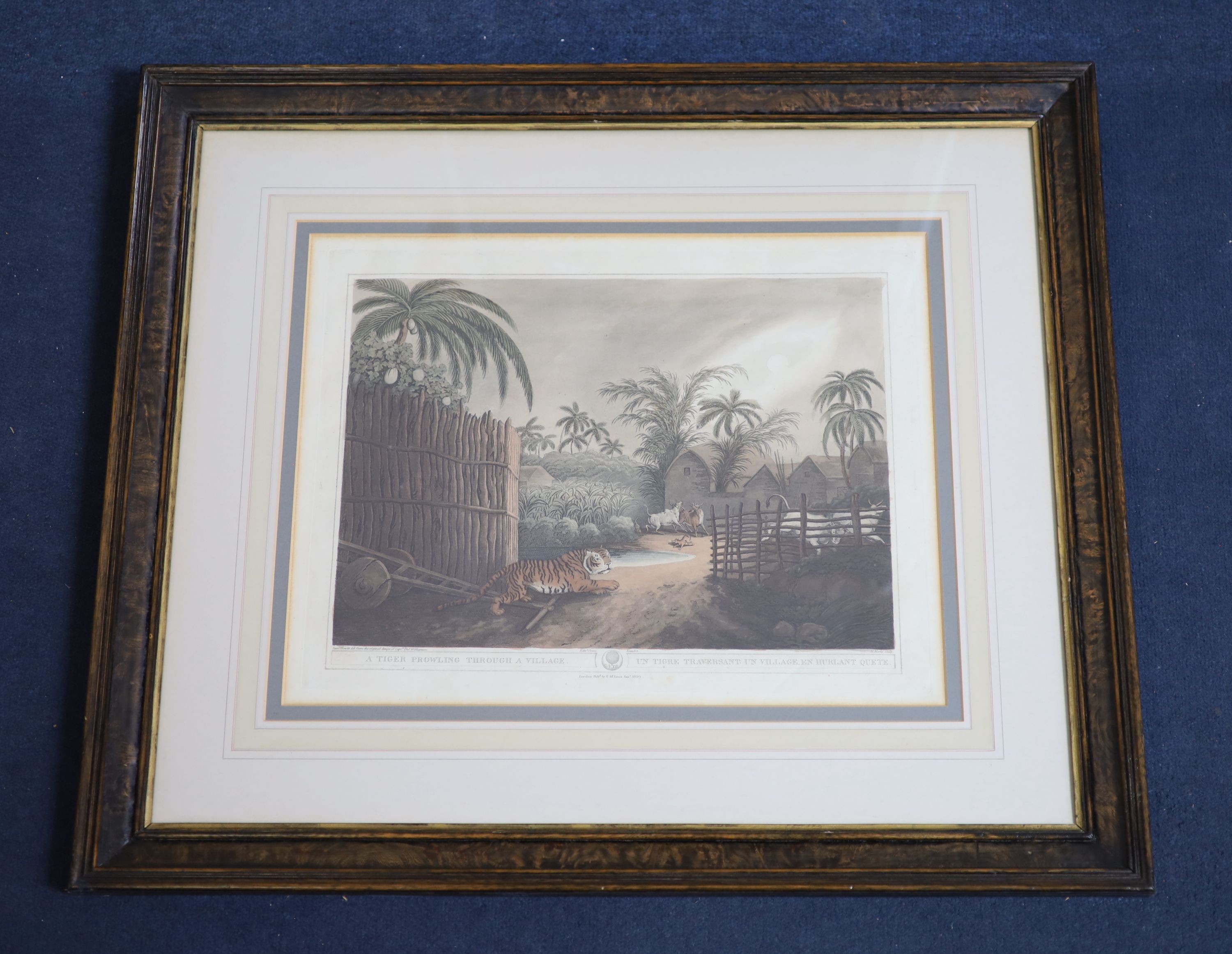 After Samuel Howett and Captain Thomas Williamson, Driving a tiger out of a jungle, Decoy elephants catching a male, A tiger prowling through a village and Shooting at the edge of a jungle, hand-coloured aquatints (4), 3